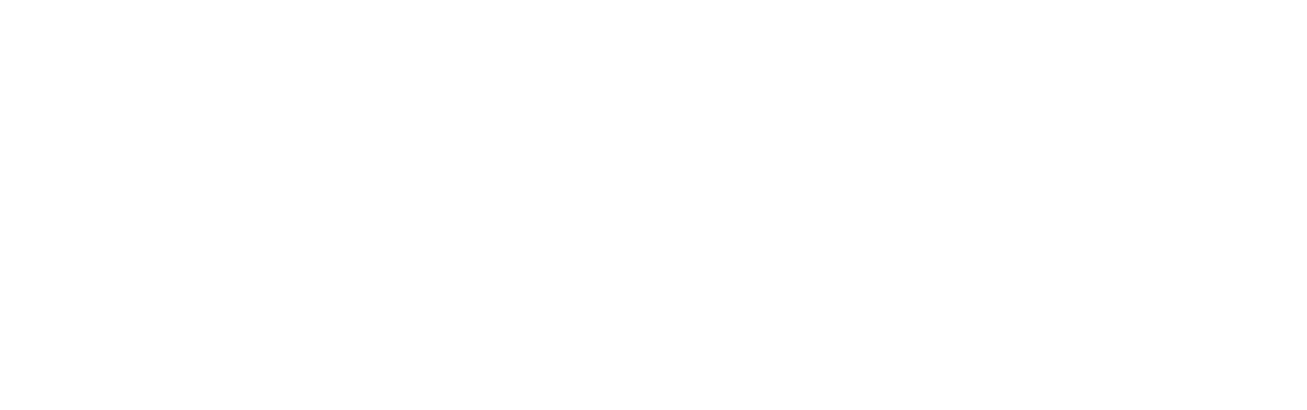 Wosler Logo (White) 2